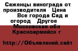 Саженцы винограда от производителя › Цена ­ 800 - Все города Сад и огород » Другое   . Московская обл.,Красноармейск г.